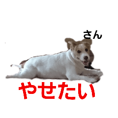 LOVEfamilydogLOVE