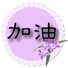 ^^Elegant Orchid Flower-Daily Phrases