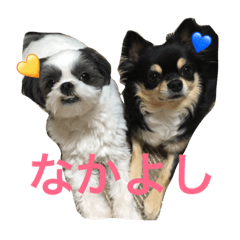 botan and kyosuke