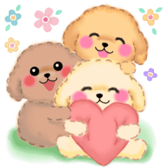 気づかいのできる かわいいトイプードル Line スタンプ Line Store 気づかいのできる かわいいトイプードル Line スタンプ Line Store