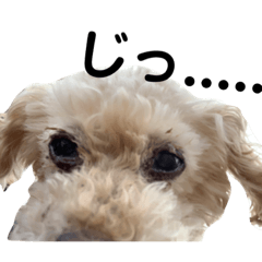 tomomi_20210506163326