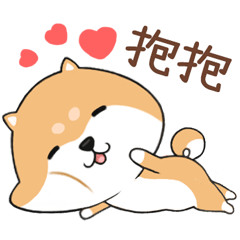 Cute Shiba-Daily life2(CHT)
