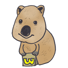 Kawaii Quokka : Coca's Daily work