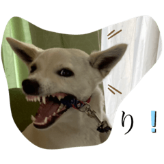 hana_202105061804402