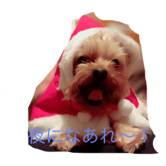 chibi_20210506202826
