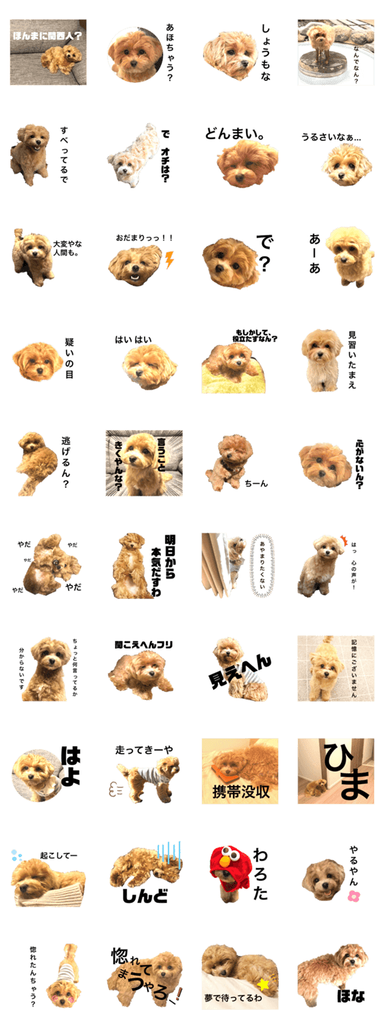 関西弁 毒舌犬 マルプー Lineクリエイターズスタンプ Stamplist