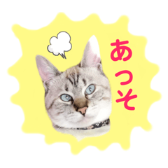 monaka_20210506234949