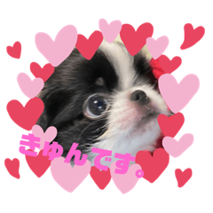 Japanese Chin's daily life stamp 3