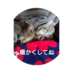 KAITO_20210506201624