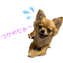 saya_20210506173436