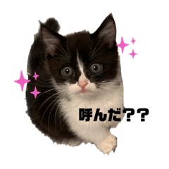 mimi_20210507001735
