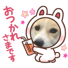 tomomi_20210507002151