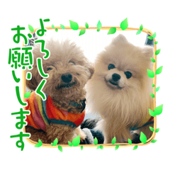 CHAN_20210507021541