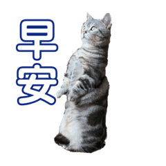 我是傻眼阿傻先森