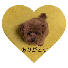 ton_20210507125334