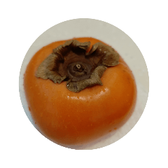 persimmon1