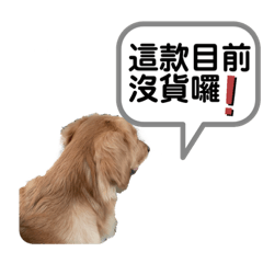 BuBu&Poki-SACO客製篇