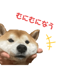 saya_20210507114959