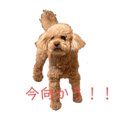 Momoko_20210507152126