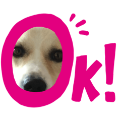 tomomi_20210507004650