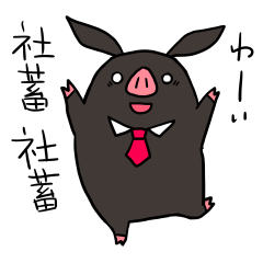 shachiku pig