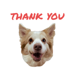 HIKARI_20210507171037