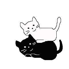 白猫と黒猫たち
