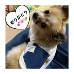 hana_20210507185355