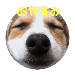 chibi_20210507201236