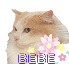 Debby_20210507230901