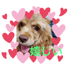 kuu_20210508000412