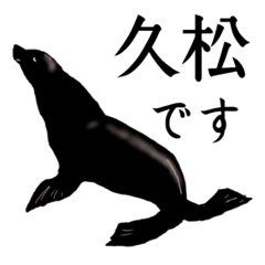 Hisamatsu Sticker
