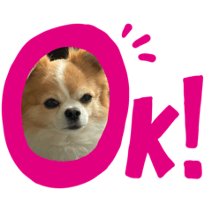 Hiyori_20210508093737