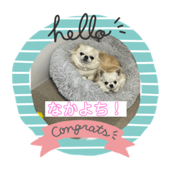 rina_20210507173656