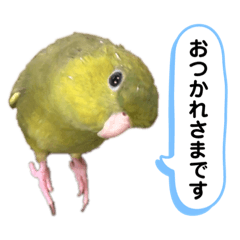 Melon_20210507195406