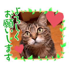 puku_20210507203323