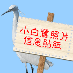 小白鷺照片信息貼紙