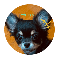 yuka_20210507225003