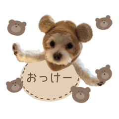 pal__coton sticker