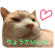 nyantakun!