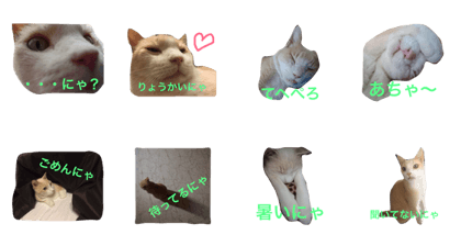 nyantakun!
