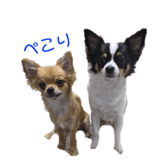 saya_20210507195650