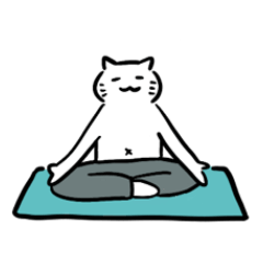 Yogi-nya (Yoga Cat)