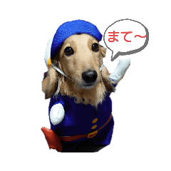 asako_20210508081258