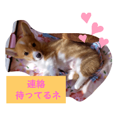 yukari_20210508083453