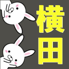超★横田(よこた・ヨコタ)なウサギ