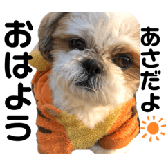 olivia_20210508102803