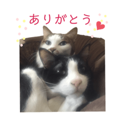 Sanae_20210508143807