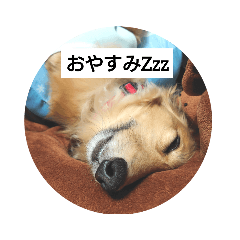 asako_20210508145322