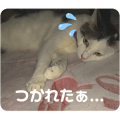 rina_20210508131051